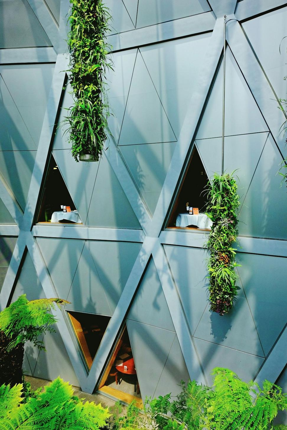 Net-Zero Office Complex